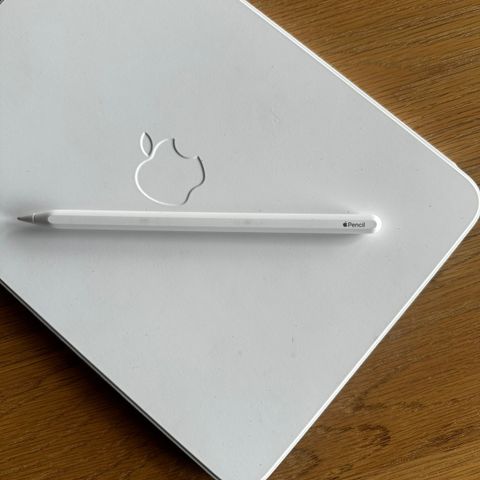 Apple Pencil Gen.2