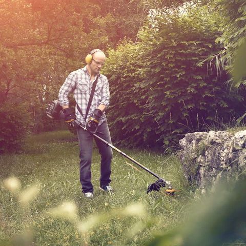 Utleie av kantklipper med hekksaks