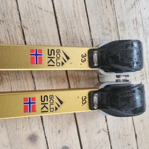 Rulleski Gold Ski