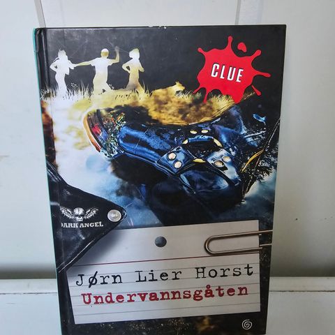 Undervannsgåten -Jørn Lier horst