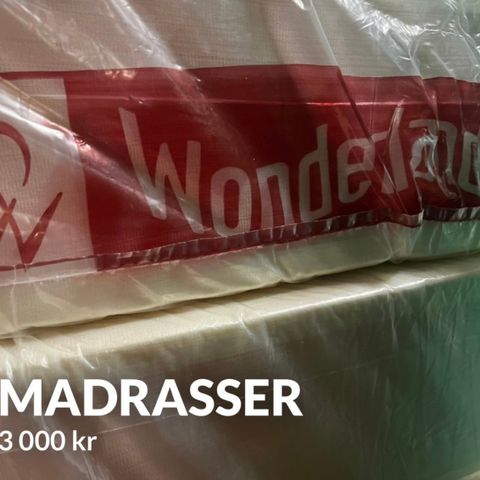 Wonderland madrasser