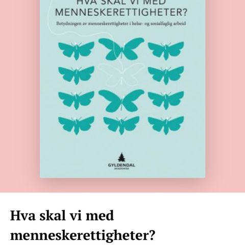 Hva skal vi med menneskerettigheter?