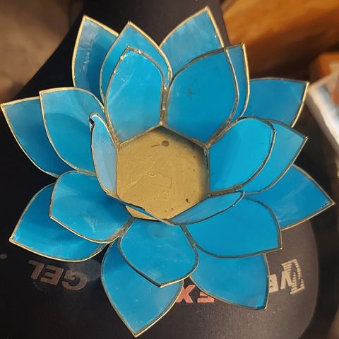 Lotus telysholder.  turkise blå