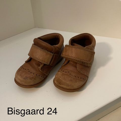 Bisgaard 24