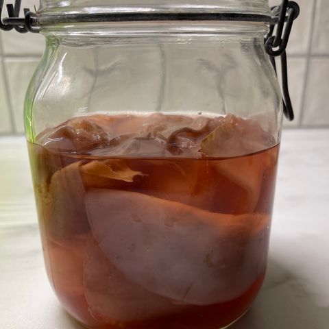 Kombucha Scoby