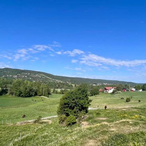 Stallplass i Lommedalen