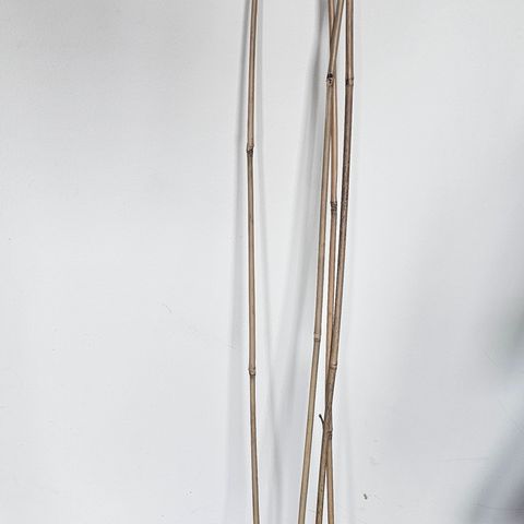 4stk bambuspinne 120cm