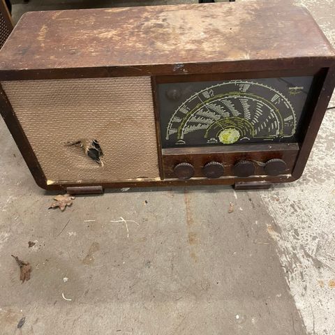 radio