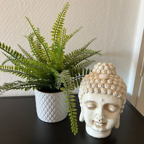 Dekorasjon til hjemmet: Buddhahode og plastikkplante