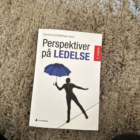 Perspektiver på ledelse