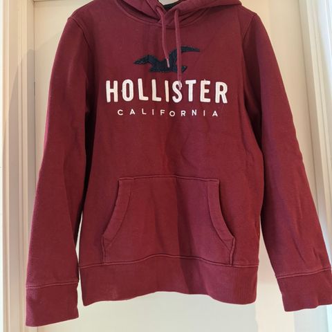 Hollister Hettegenser