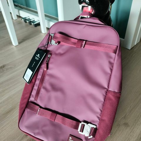 DB Världsvan backpack 17L