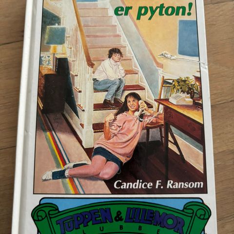 Ungdomsbok - Storesøstre er pyton!