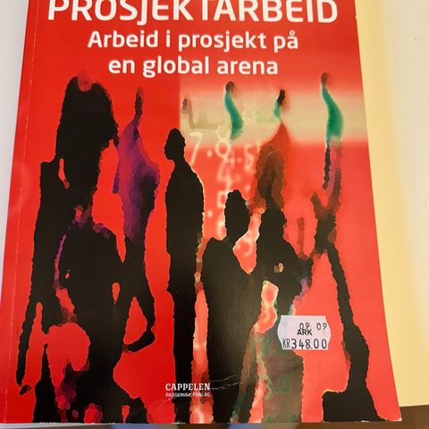 Prosjektarbeid Arbeid i prosjekt på en global arena