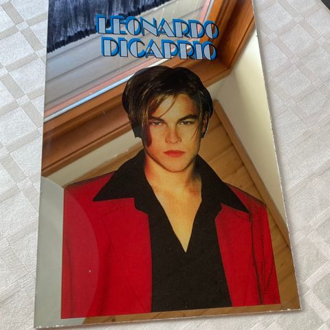Leonardo DiCaprio vintage speil
