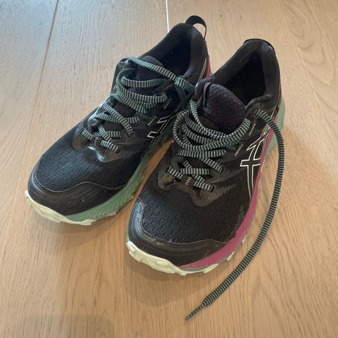 Asics løpe-/terrengsko med Goretex - størrelse 38