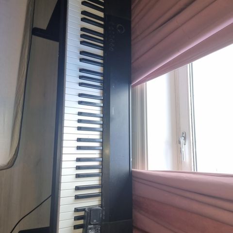 El piano selged