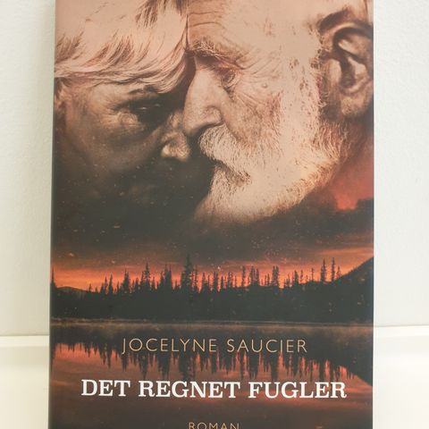 Bok " Det regner fugler" av Jocelyne Saucier