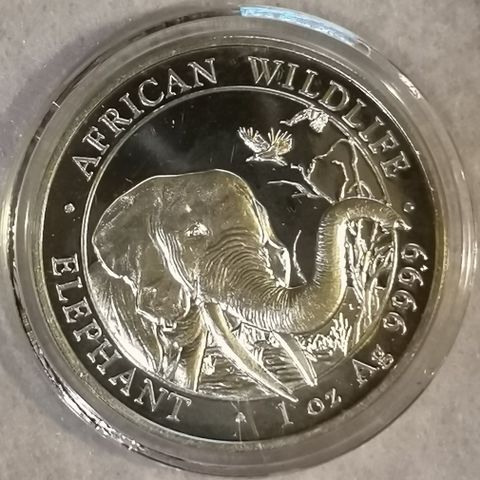 2018, African Wildlife, Elephant, 1 oz, 9999 sølv.