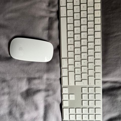 Apple Magic tastatur A1843 numerisk tastatur (norsk) med mus
