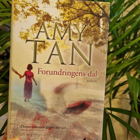 Forundringens dal - roman Av Amy Tan. Innbundet!