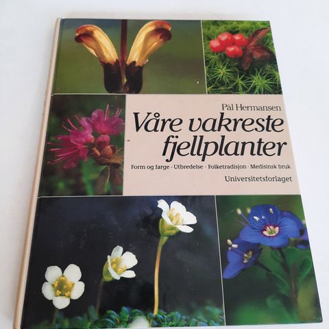 Våre vakreste fjellplanter