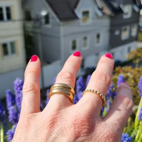 Ring i bronse