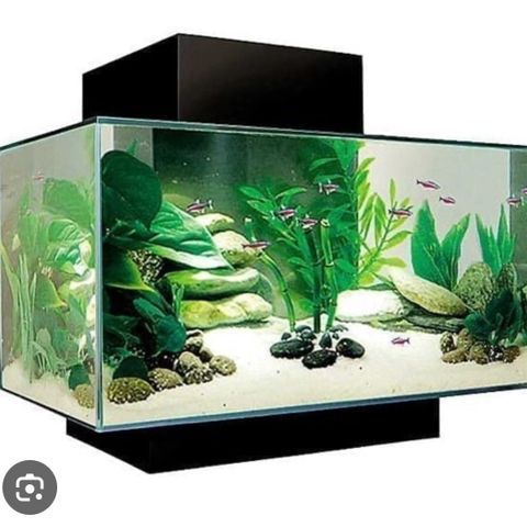 Fluval Edge 23 liter