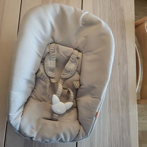 Stokke newborn Seat