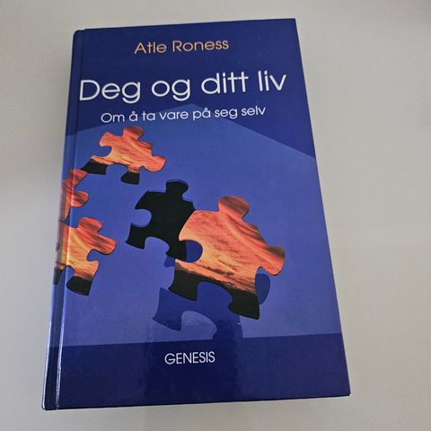 Deg og ditt liv. Om å ta vare på deg selv. Atle Roness