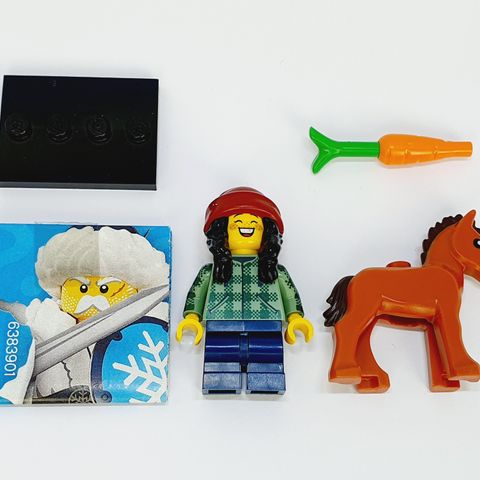 LEGO Horse and Groom | CMF Series 22 (col22-5)