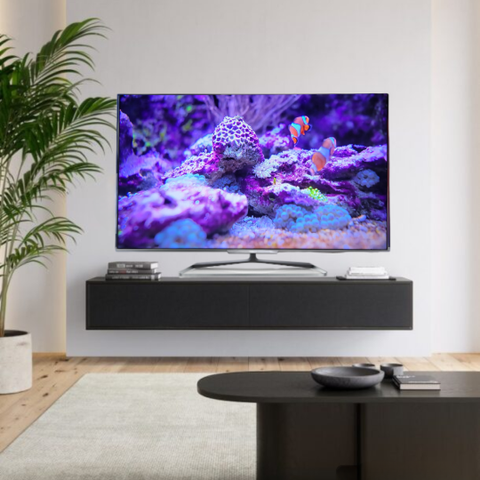 Philips 55" Smart Tv Ambilight