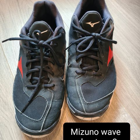 Mizuno wave phantom 2