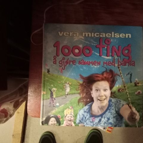 1000 ting og gjøre med barn  bok