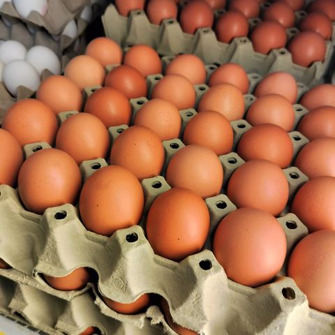 30 hvit/brun Medium/Large egg 115 kr pr brett