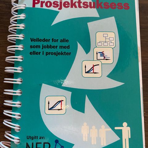 veien til prosjektsuksess