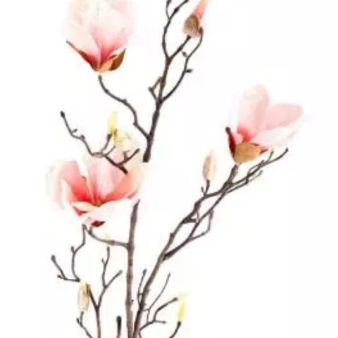 Kunstig magnolia