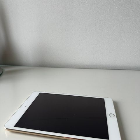 ipad mini 3