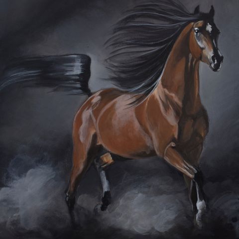 Araberhest equine serie  originalt akrylmaleri 50x40cm