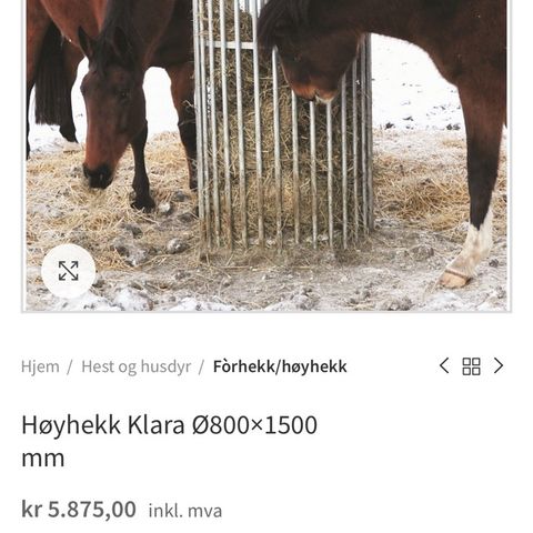 Forhekk til hest