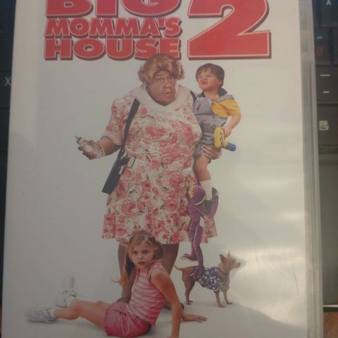 Big Momma's House 2