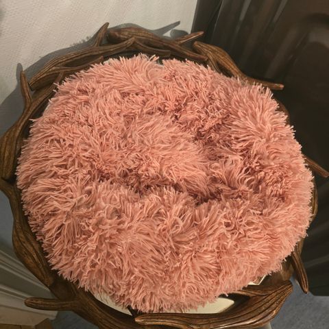 Donut seng i rosa til liten eller bitteliten hund/kstt