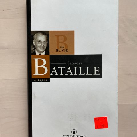 Per Buvik «Georges Bataille»