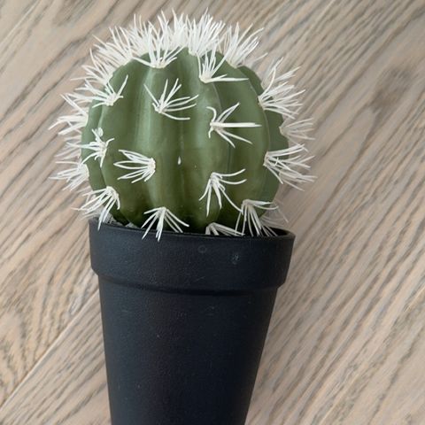 Kaktus kunstig