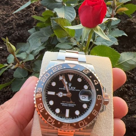 Rolex GMT Master II RootBeer 2022 Norsk AD