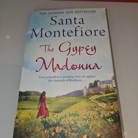 The Gypsy Madonna. Santa Montefiore