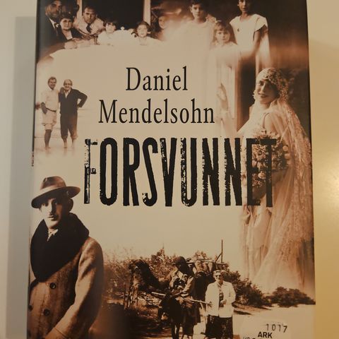 Daniel Mendelsohn - Forsvunnet