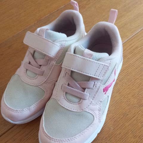 Puma gymsko