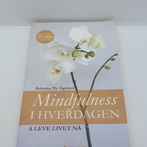 Mindfulness i hverdagen - Rebekka Th. Egeland