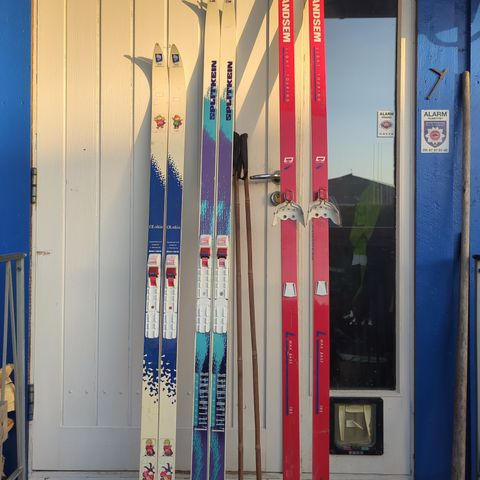 Åsnes OL-skia og 2 andre skipar